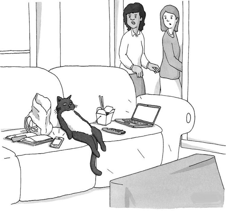 cat