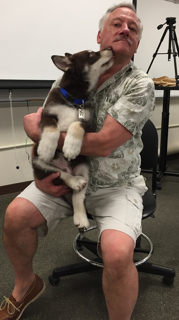 dog
