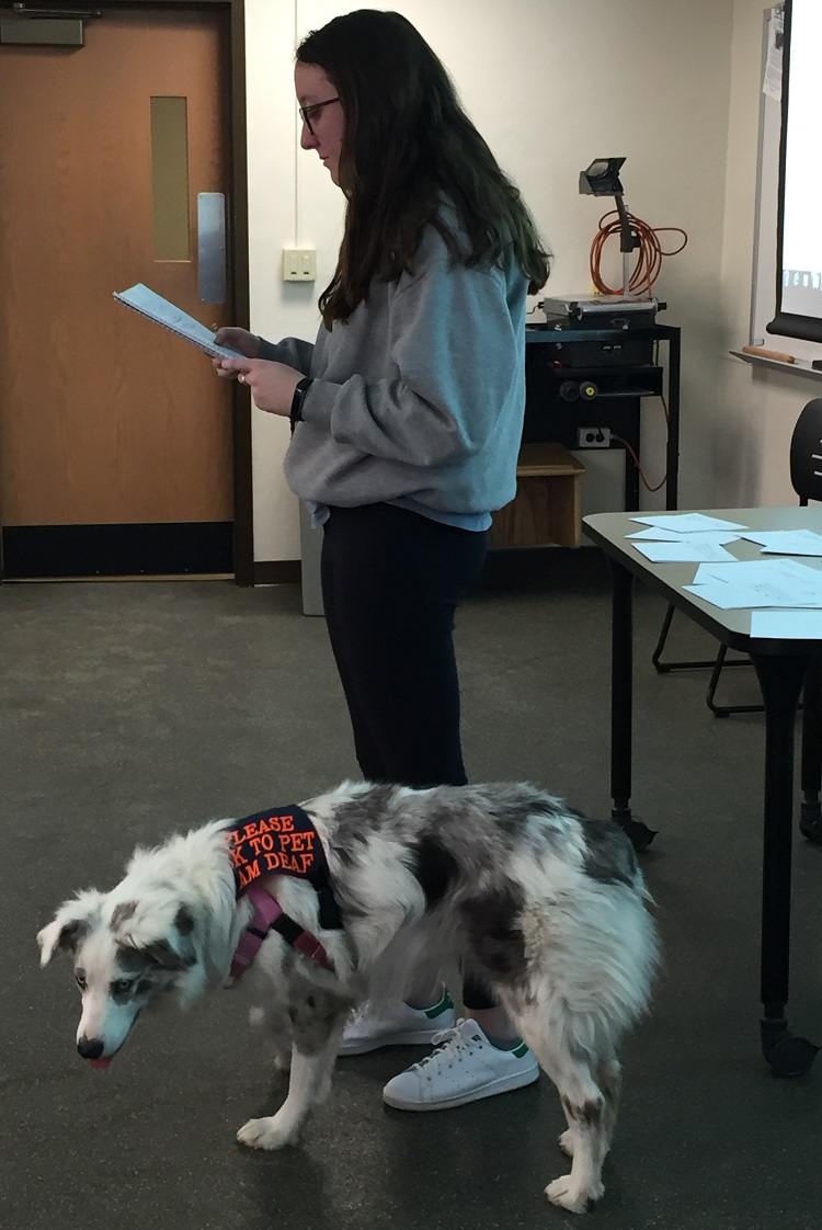 dog