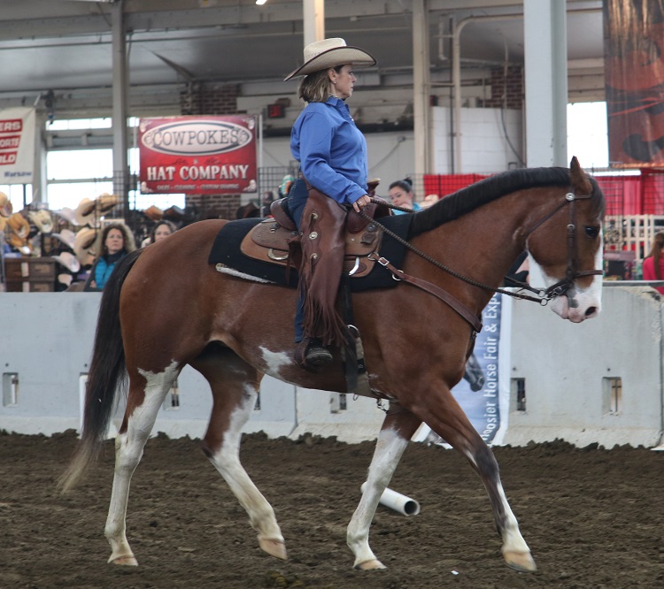 horse