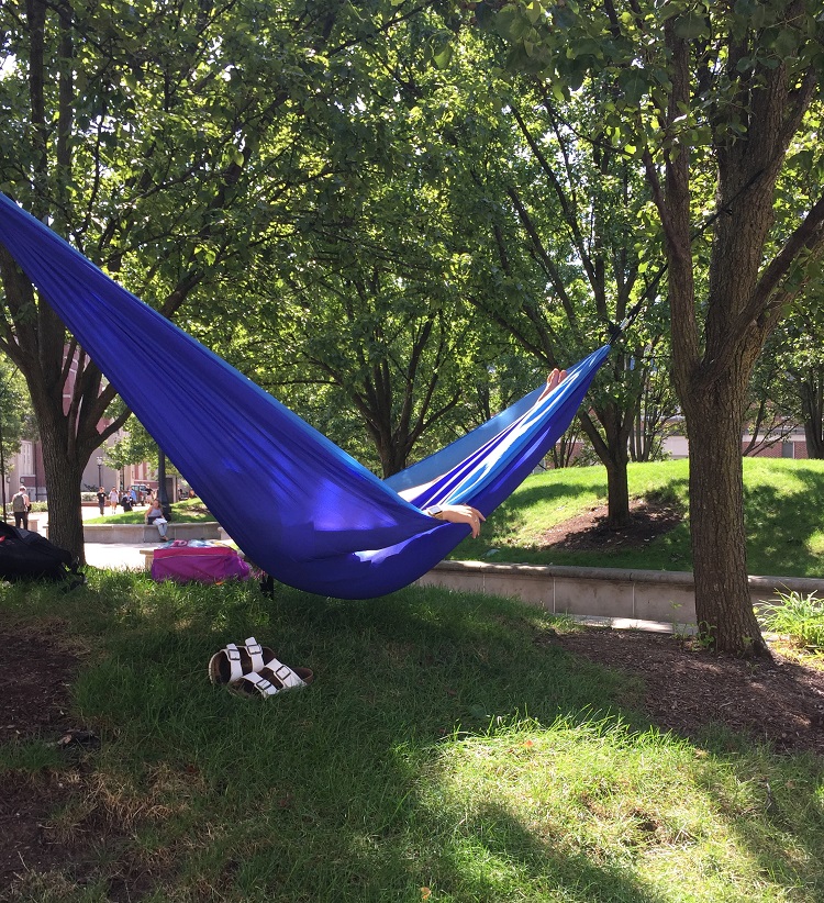 hammock