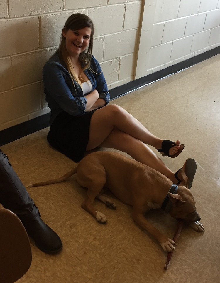 dog
