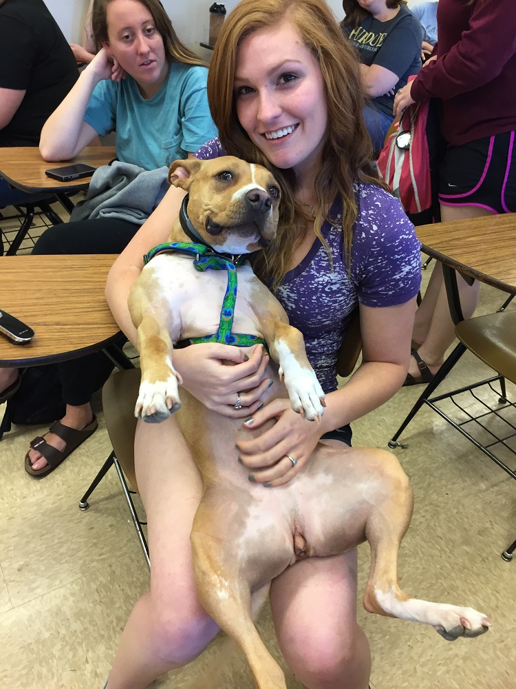 dog